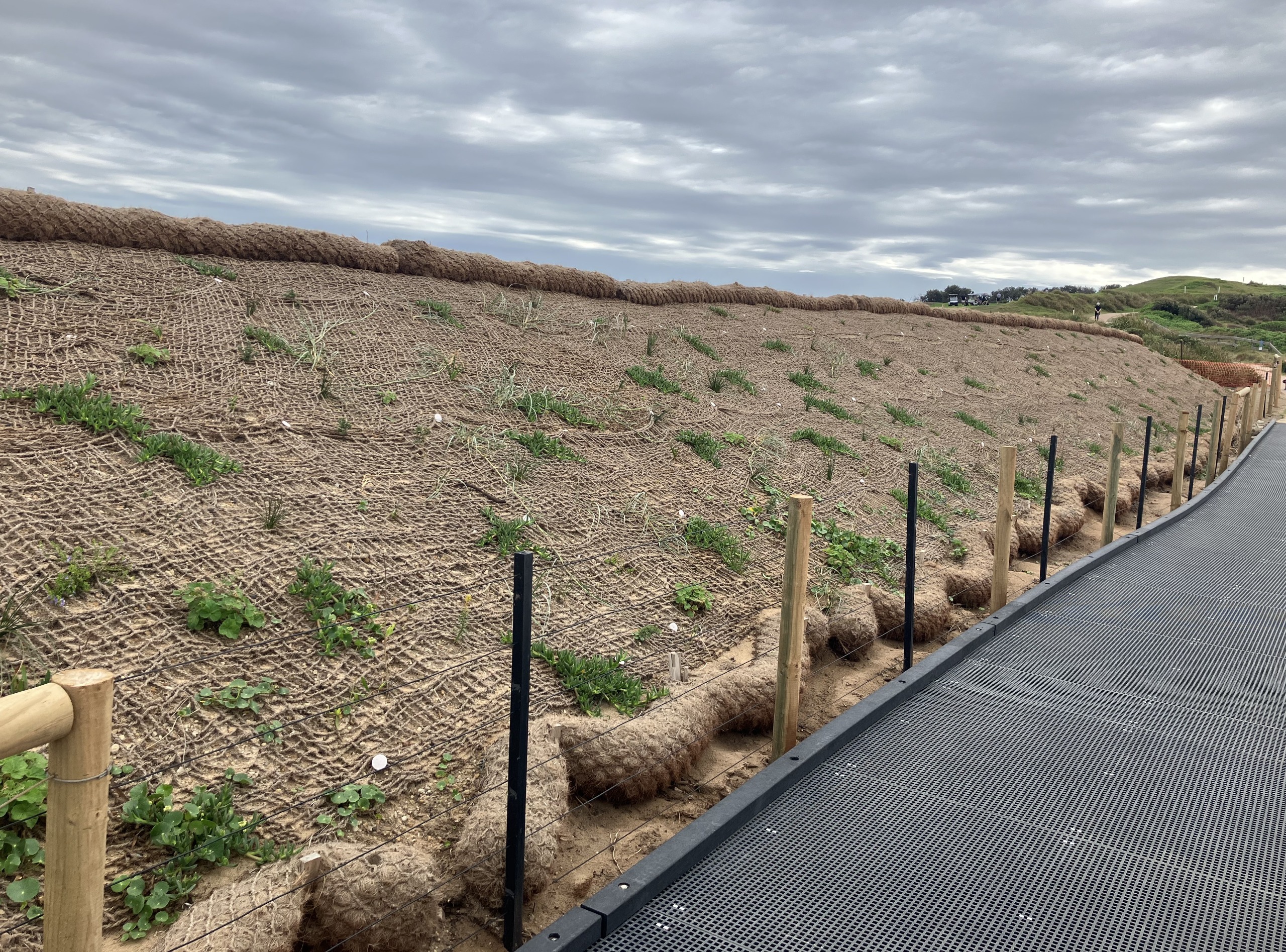 Landscaping along boardwalk
