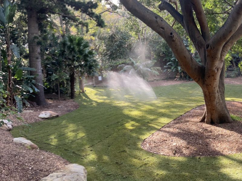 grassed area around large tree