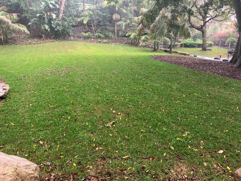 grassed area with landscaped garden in background